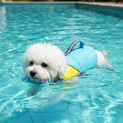 Gilet de sauvetage Chien • NageToutou™ : Flottabilité optimale