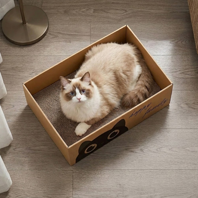 Griffoir Chat carton