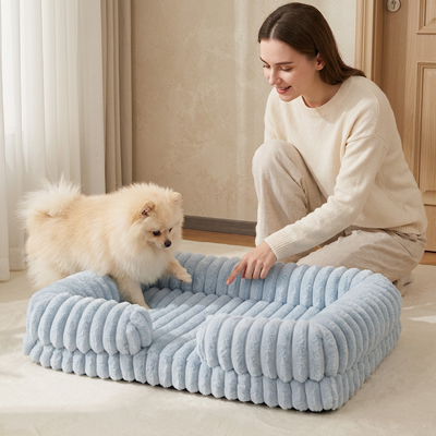 poméranien entre dans Panier à Chien avec dame