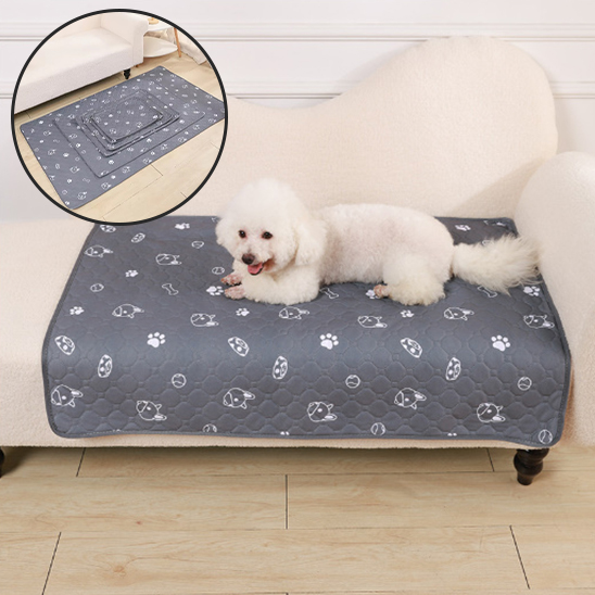 Tapis pour chien