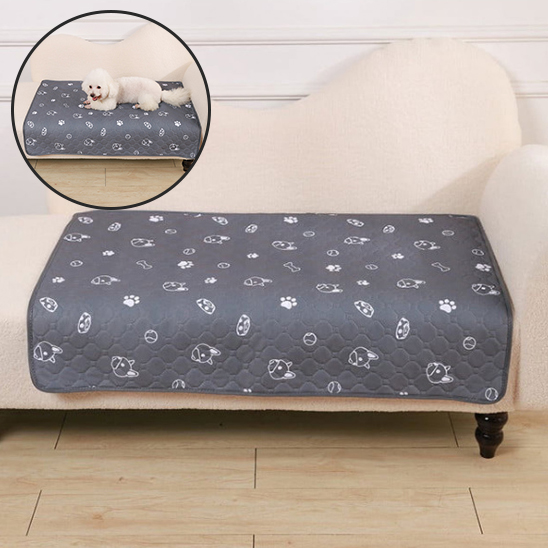 Tapis pour chien