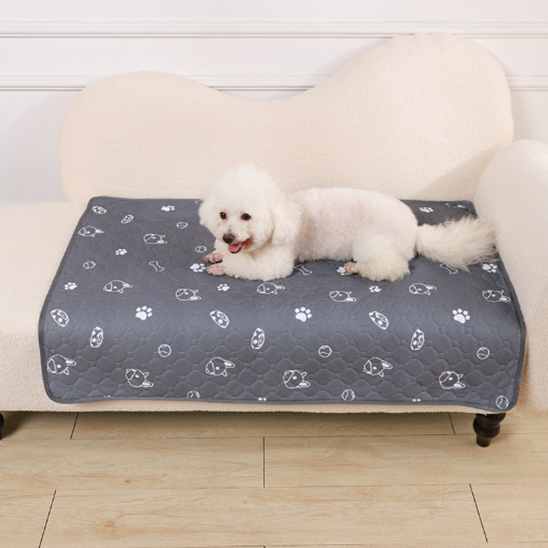 Tapis pour chien