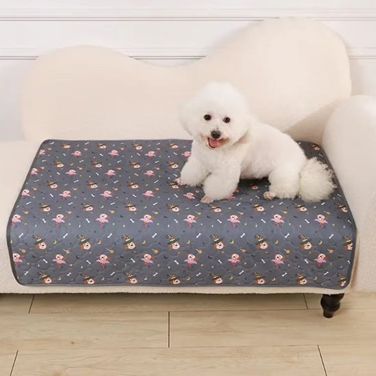 Tapis pour chien
