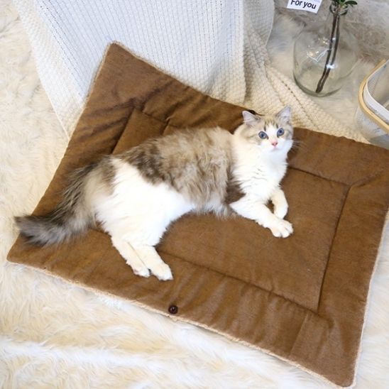 Panier pour chat