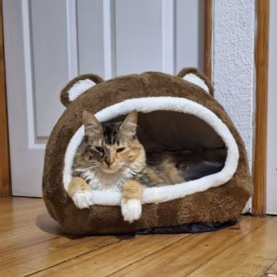 Panier pour chat