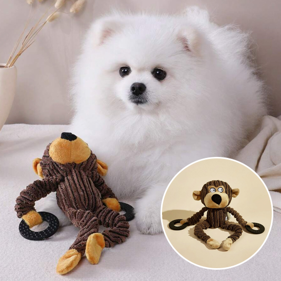 poméranien blanc couché près de Peluche pour chien sur surface blanche
