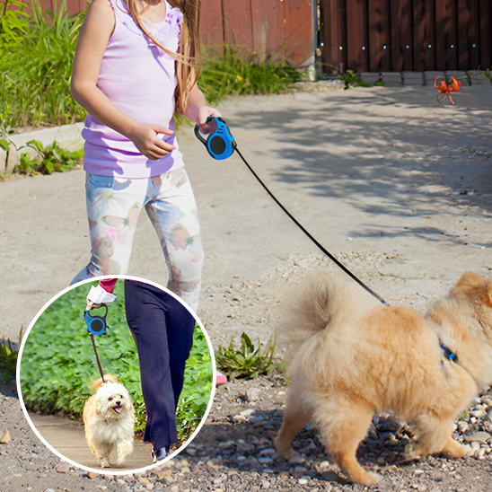 Laisse pour Chien jeune fille avec une laisse bleu