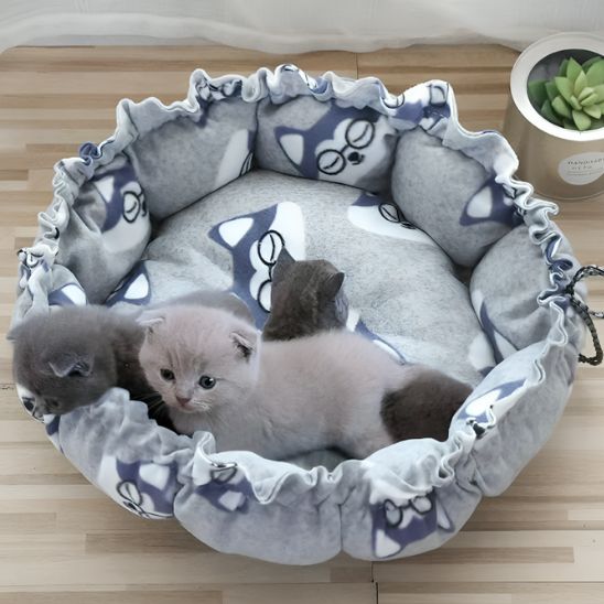 coussin chat