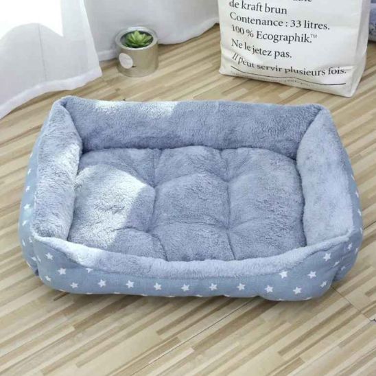 coussin chat