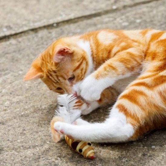 Jouet chat souris en sisal amusant
