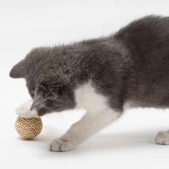jouet chat balles en sisal chat debout
