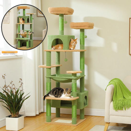 Arbre à chat