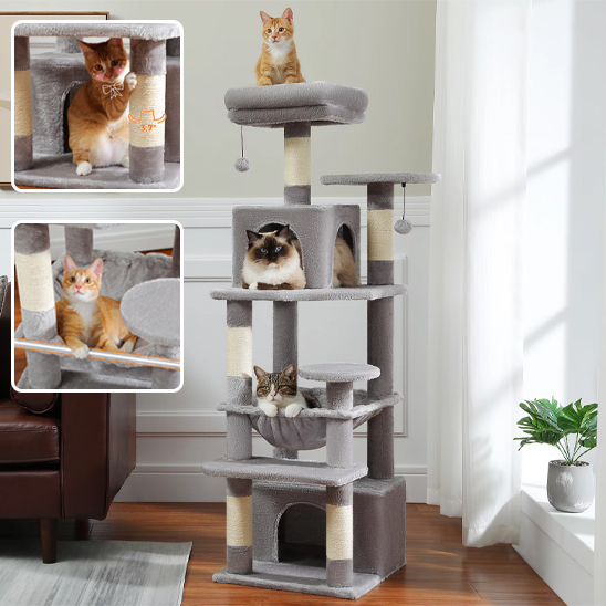 Arbre à chat