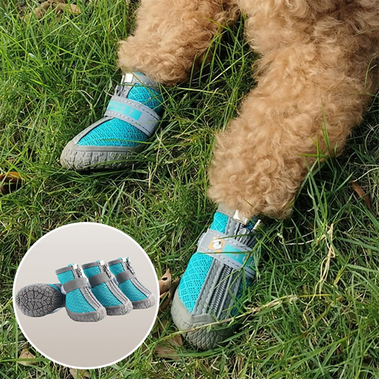 ModĂšle de chaussure chien dans l'herbe