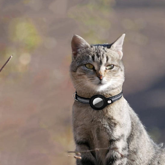 Collier AirTag réfléchissant pour chat tigré en plein air