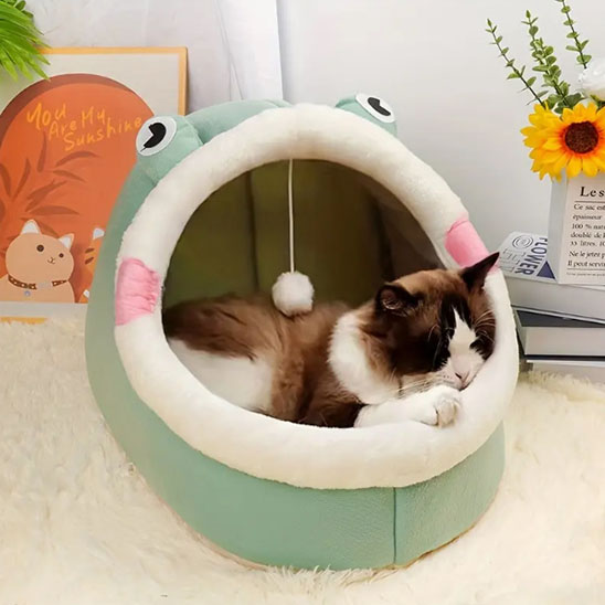 niche pour chat yeux de grenouille vert chat allonge