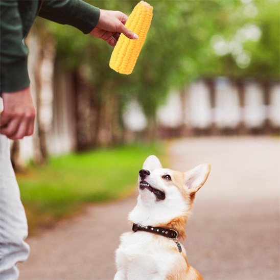Jouet chien Mais Jeu