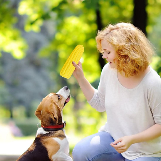 Jouet chien Mais parc
