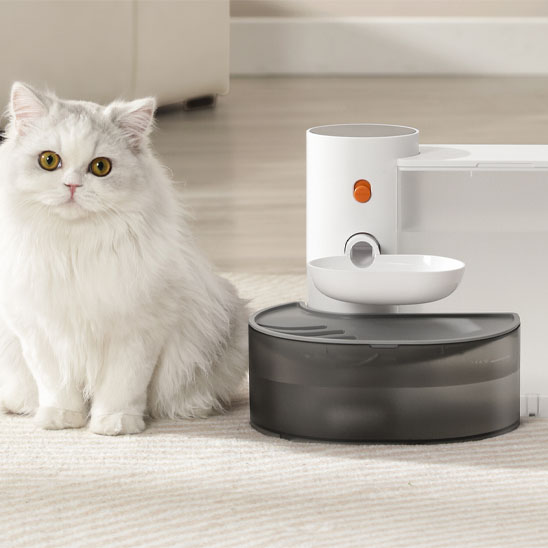 Fontaine à eau pour chat sans fil transparente