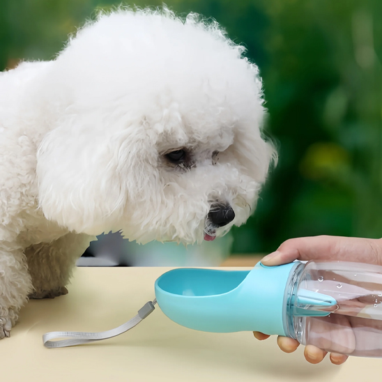 Gourde pour chien • JappySource™: Design ergonomique