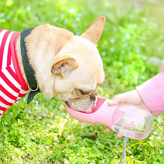 Gourde pour chien • JappySource™: Système d'ouverture rapide