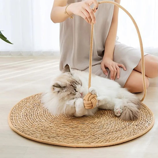 Tapis griffoir Chat