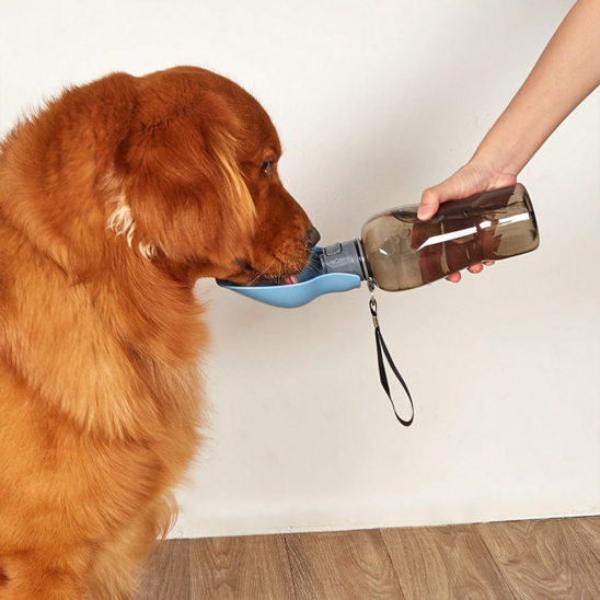 Gourde pour chien • JappyFraîcheur™ : Conception étanche