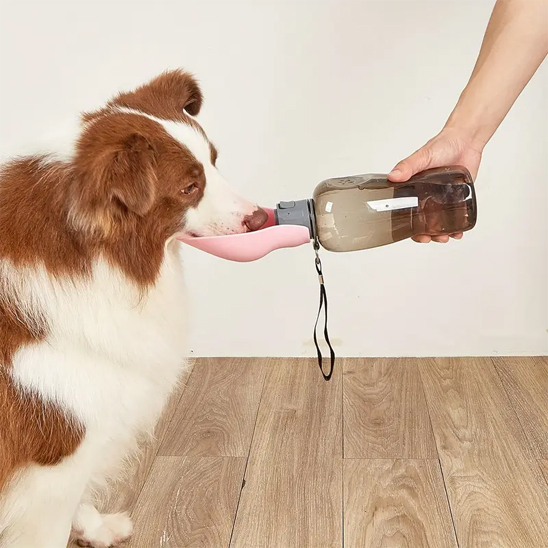 Gourde pour chien • JappyFraîcheur™ : Bouteille 2 en 1