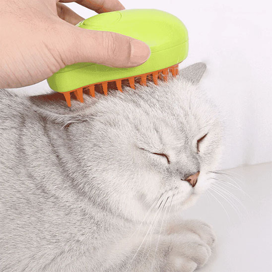 brosse poil chat 2 en 1 vert chat relaxe
