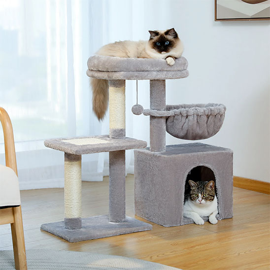 Petit arbre a chat