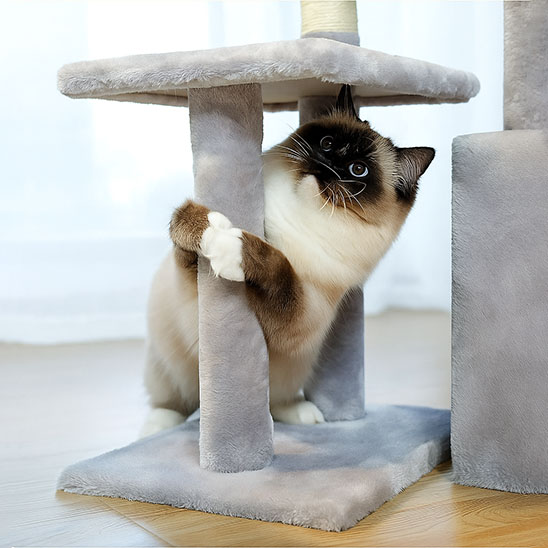 Petit arbre a chat