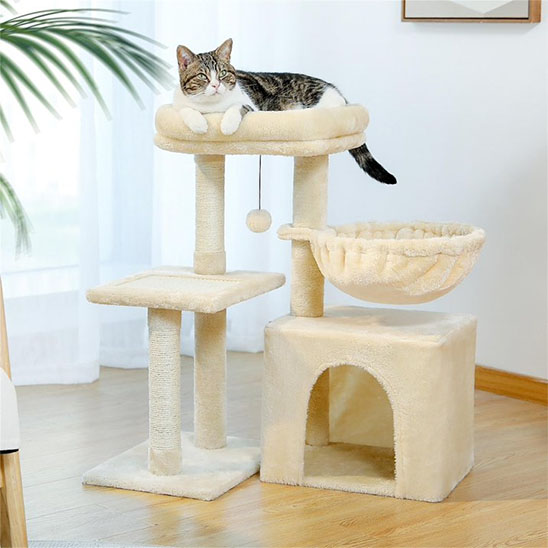 Petit arbre a chat