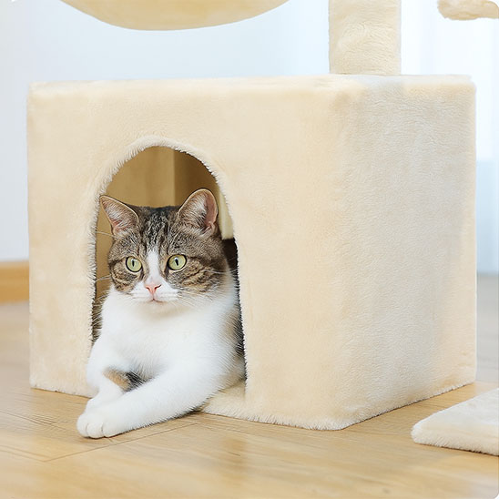 Petit arbre a chat