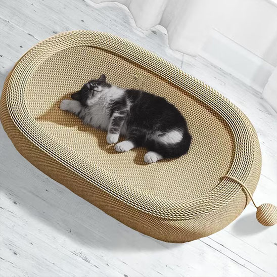 Griffoir pour chat-chaton joue