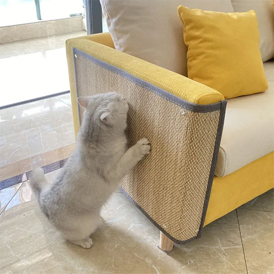 Protection canapé chat
