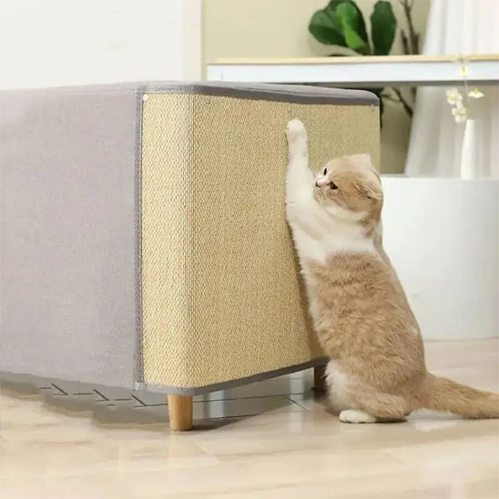 Protection canapé chat