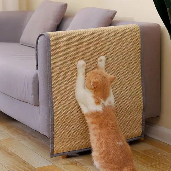 Protection canapé chat