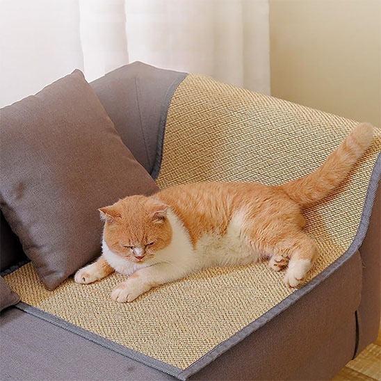 Protection canapé chat