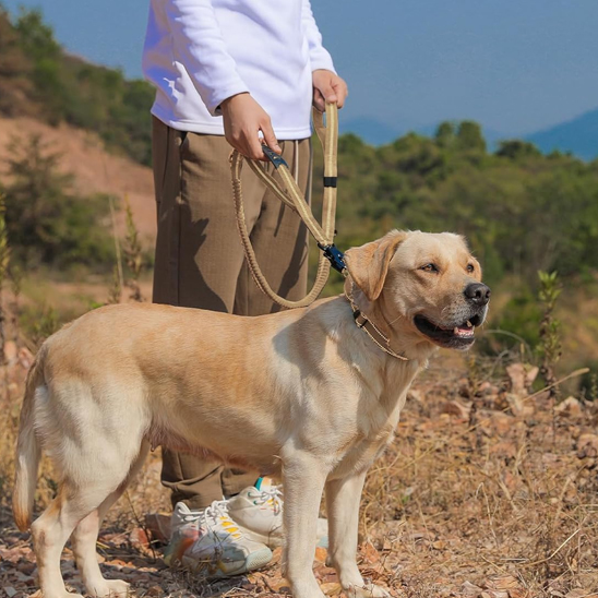 Laisse pour chien • JappyPatteLibre™: Matériau élastique