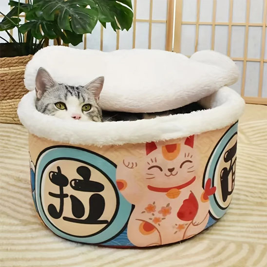 Maison pour chat