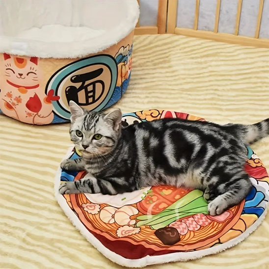 Maison pour chat