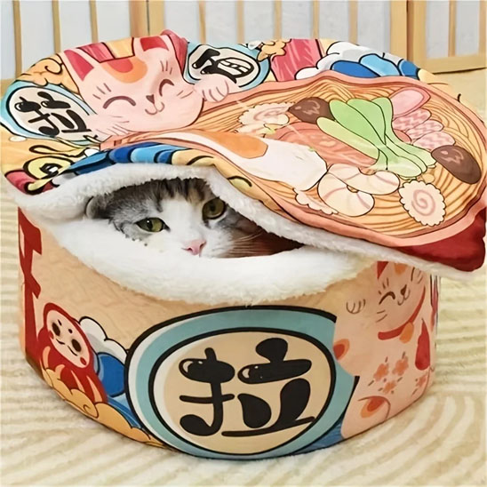 Maison pour chat