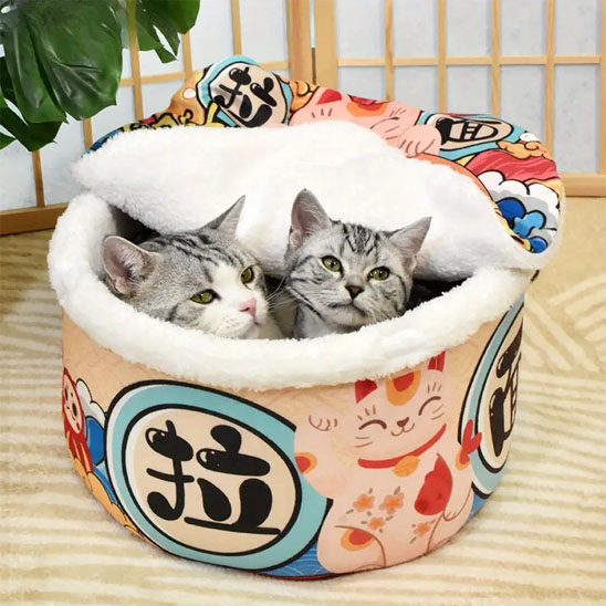 Maison pour chat