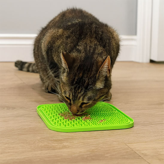 Tapis de lechage