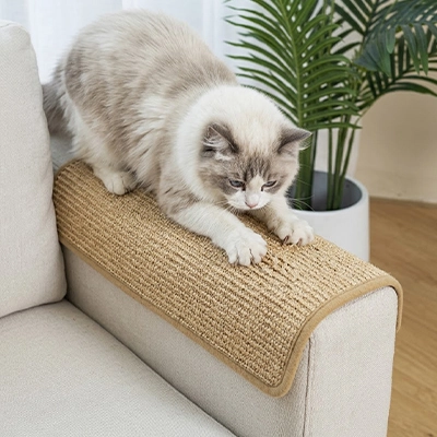 Protection canapé Chat