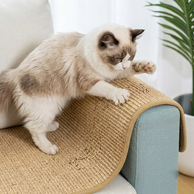 Protection canapé Chat