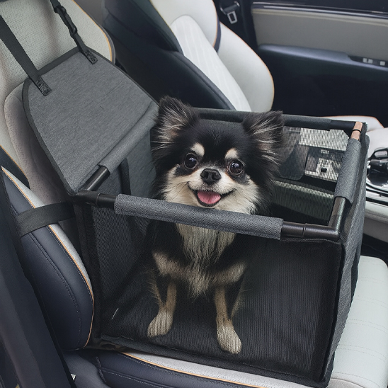 L'AutoCopilot Siege auto pour chien gris foncés