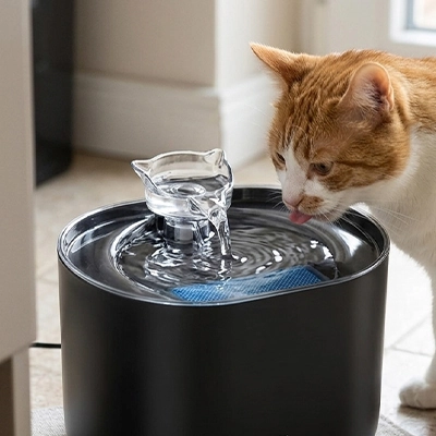 chat buvant fontaine à eau pour chat dans salon