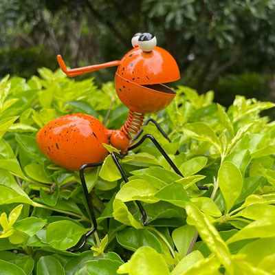 Décoration jardin 