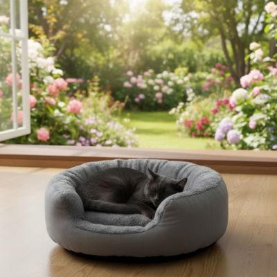 Panier pour chat